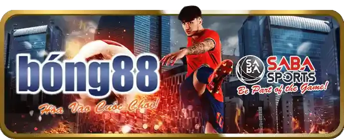 Đa dạng kèo cược đá gà với tỷ lệ hấp dẫn